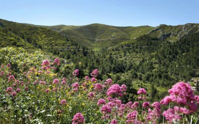 Les Calanques : Accès restreint pour le VTT