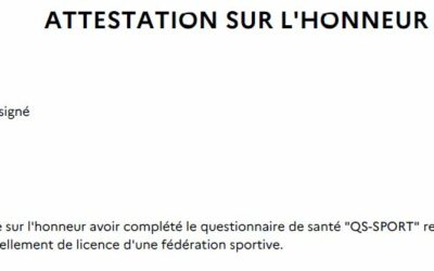 Le Questionnaire Santé